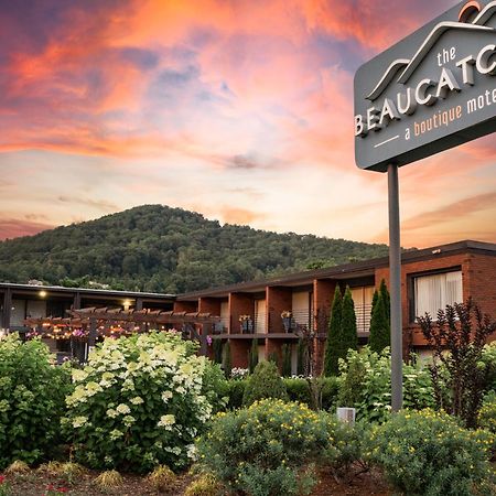 The Beaucatcher, a Boutique Motel Asheville Exterior foto